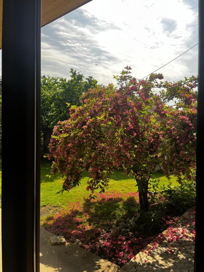 ,,Anna's Guesthouse K'vemo Alvani Eksteriør billede